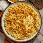 A spoon scooping brie mac and cheese topped with toasted breadcrumbs and fresh thyme.